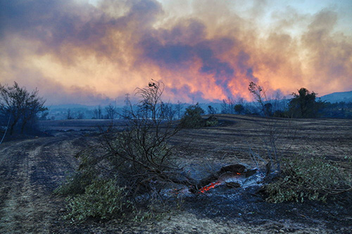 فاجعه ملی: آتش‌سوزی انبوه در جنگل‌های ترکیه