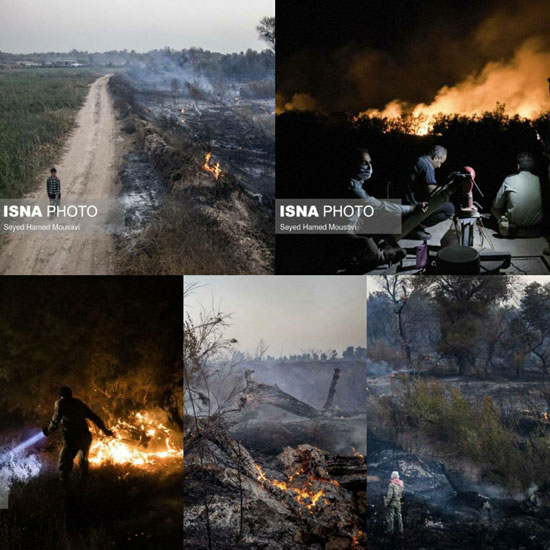 تصاویری از آتش‌سوزی در جنگل‌های کرخه