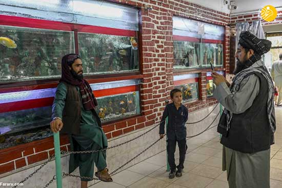 بازدید عناصر طالبان از باغ وحش کابل