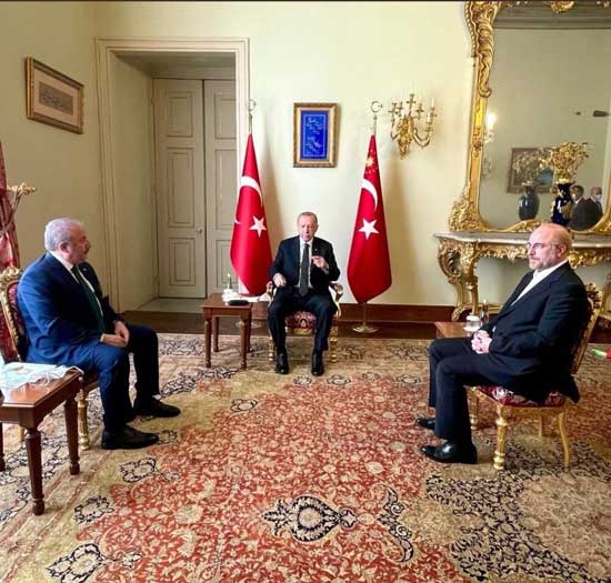 عکس دیدار قالیباف با اردوغان مناقشه‌برانگیز شد