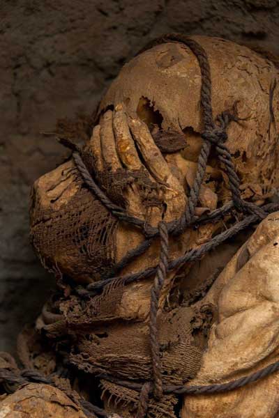 تصاویری از کشف مومیایی ۸۰۰ساله