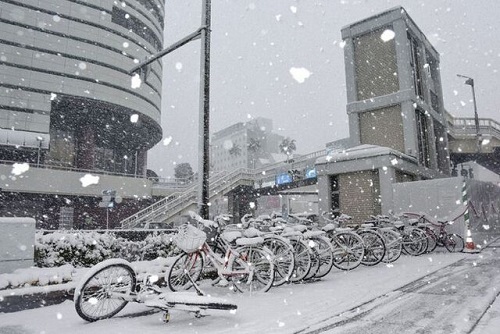 توفان زمستانی در ژاپن قربانی گرفت
