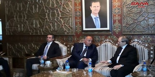 وزیر خارجه مصر وارد دمشق شد