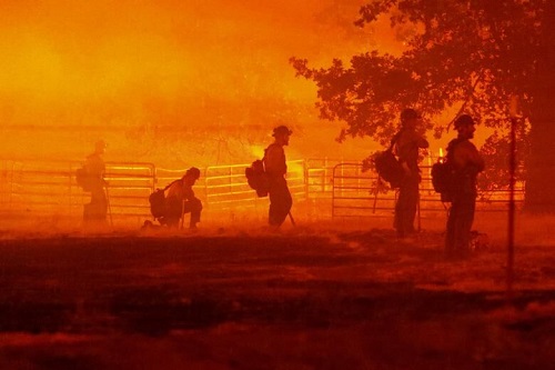 آتش سوزی گسترده در کالیفرنیا