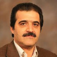 صنعت خودرو راهی جز ورود به زنجیره تامین جهانی ندارد