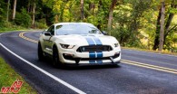 توقف تولید موستانگ شلبی GT350