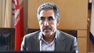 مشکلات ارزی دلیل مهمترین چالش طرح واردات خودرو است