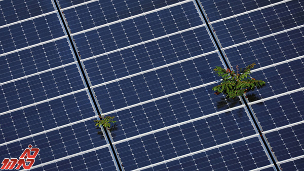 پروژه های خورشیدی ایالات متحده ممکن رونق بگیرند