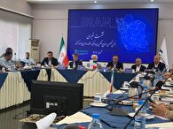 خودروسازان به جای طلب قطعه سازان، وانت می دهند !