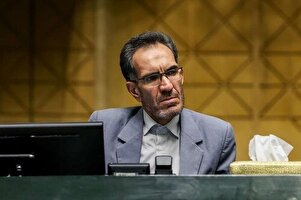 ارتقای کیفیت و تعادل قیمتی خودروهای داخلی با اراده جدی و نظارت کافی دولت شدنی است